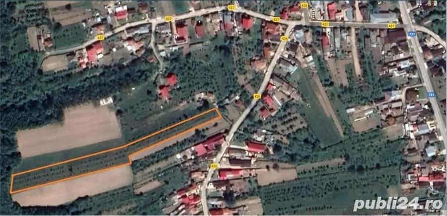 Teren de 4600 mp, în Negreni