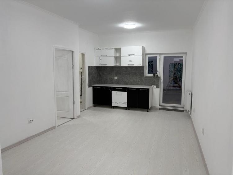 Casă cu 2 camere în Lunca Cetățuii
