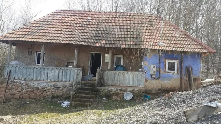 Casă cu 3 camere cu Teren 1600 Mp în Vălișoara