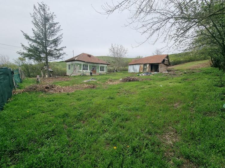 Casă cu 2 camere în Goiești