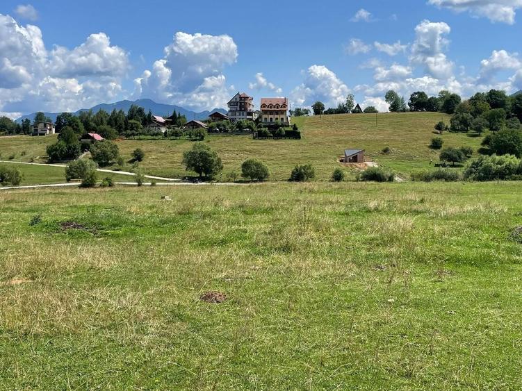 Teren Construcții intravilan de 5000 mp, în Sohodol