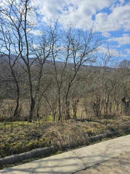 Teren de 600 mp, în Pocreaca