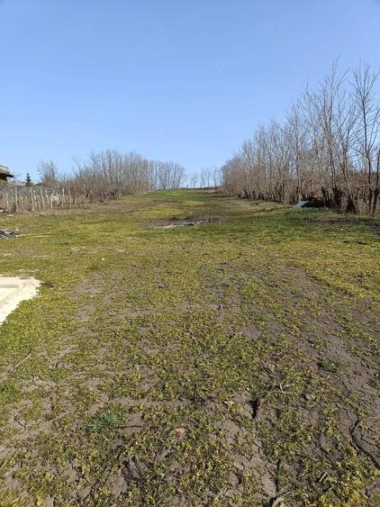 Casă cu 3 camere cu Teren 3250 Mp în Românești