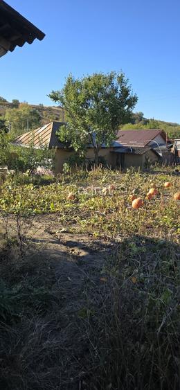Casa in frumuselul la 6.5km de podu turcului