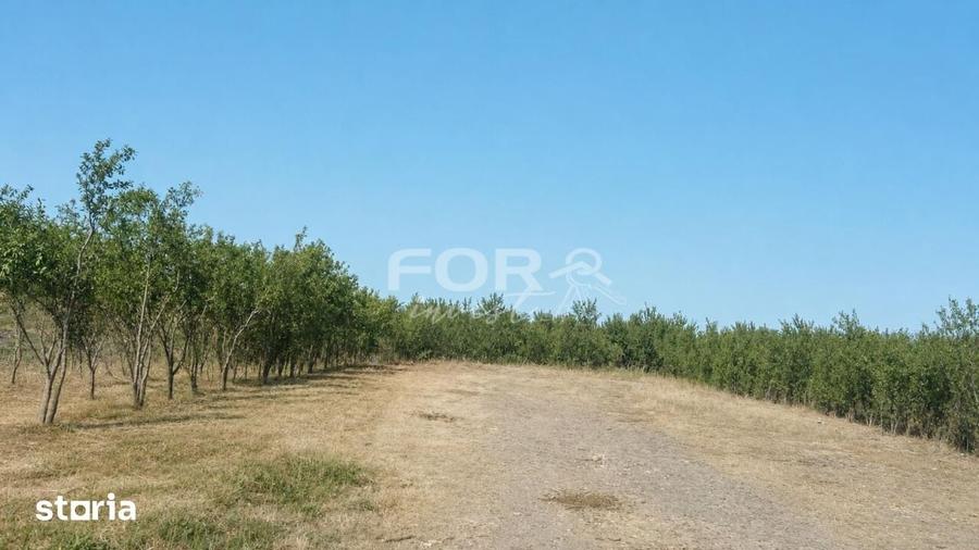 Casă cu 3 camere cu Teren 1133 Mp în Tulca