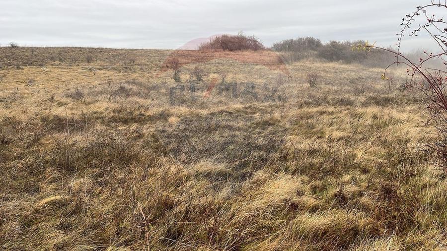 Teren agricol extravilan de 623 mp, în Nord-Est