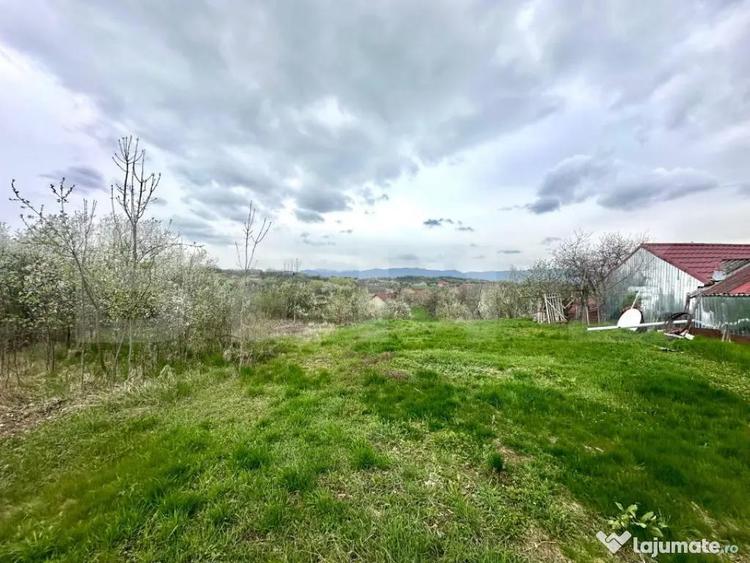 Teren intravilan de vanzare 728 mp, Oarda de Sus, cu pr - 3