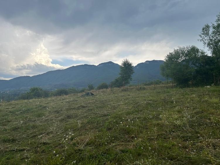 Teren în Central