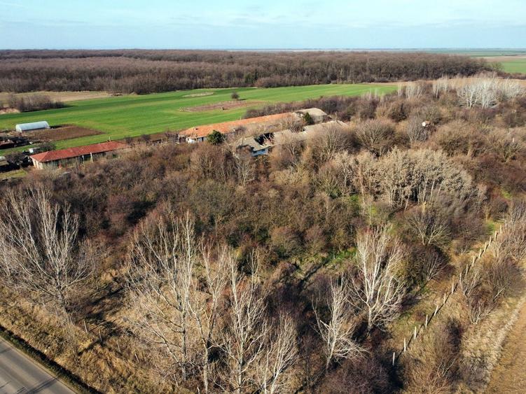 Teren Construcții intravilan de 70291 mp, în Micșunești-Moară