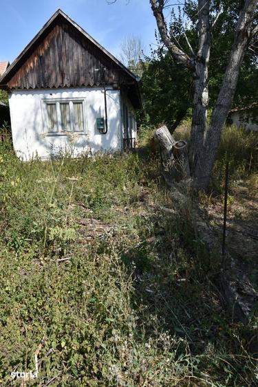 Casă cu 3 camere cu Teren 1500 Mp în Sava