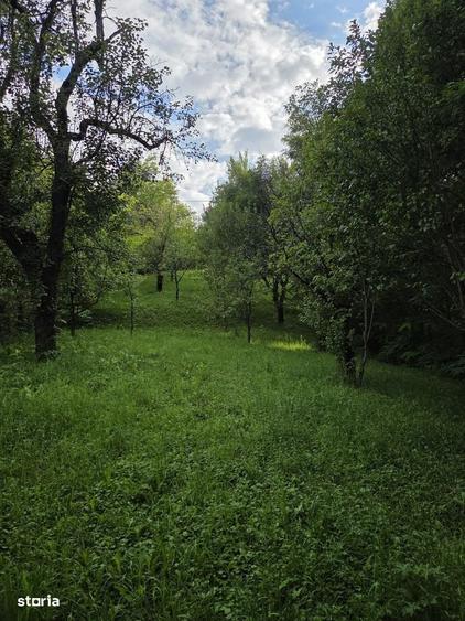 Casă cu 3 camere în Pietroșița