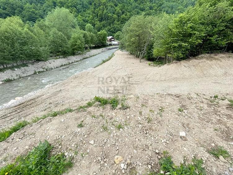 Teren de 12150 mp, în Plaiul Foii