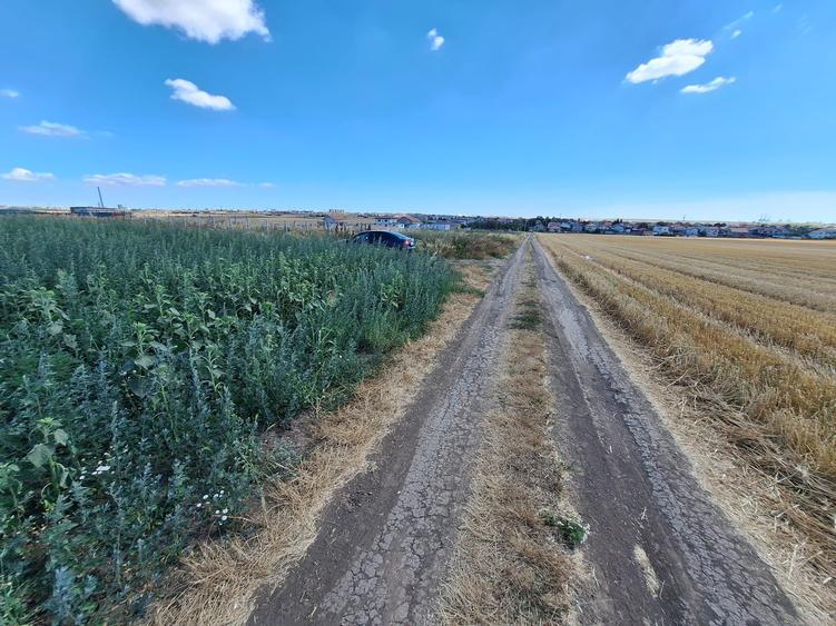 Teren Construcții intravilan de 5000 mp, în Lazu