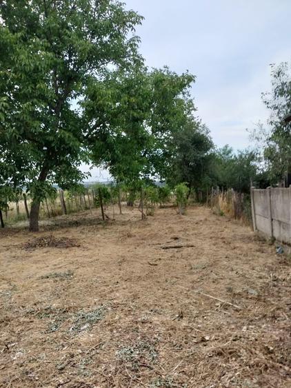 Casă cu 3 camere în Exterior Vest
