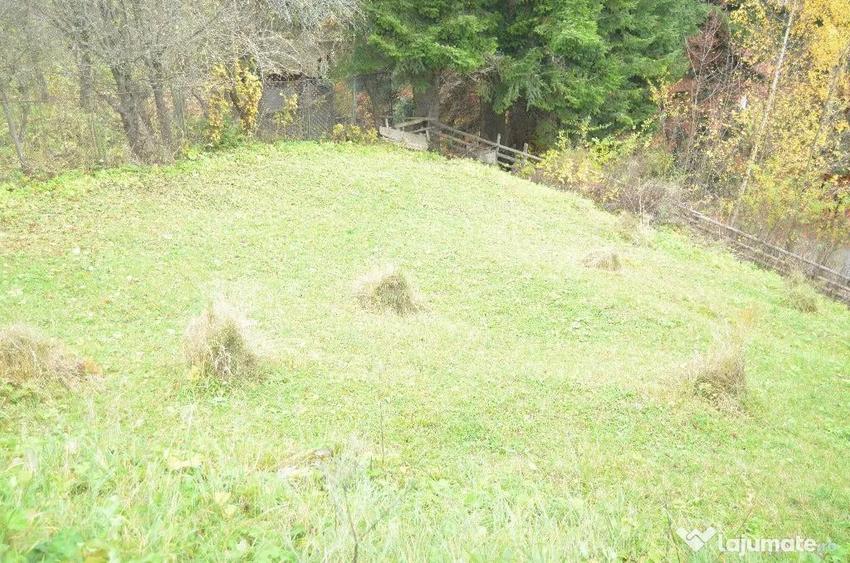 Teren de 1300 mp, în Valea Alba