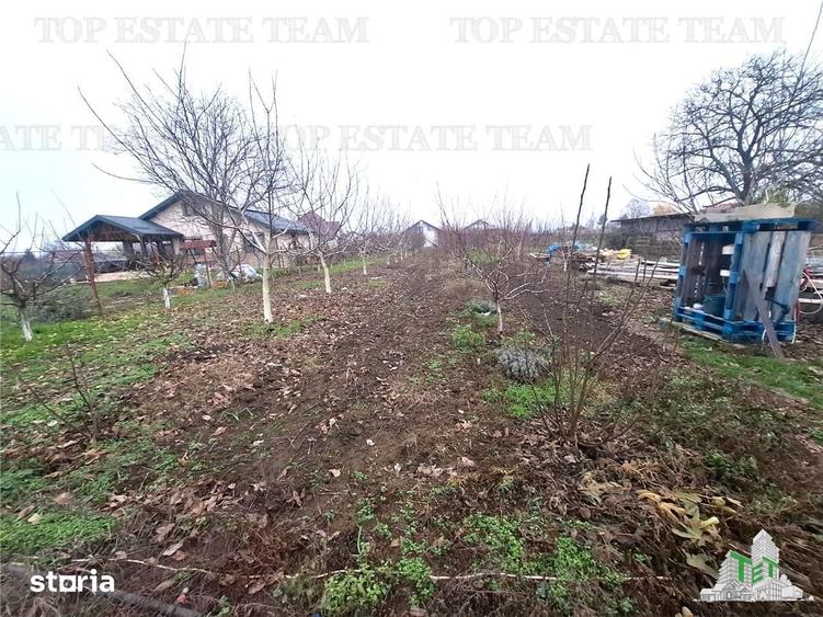 Teren de 963 mp, în Moara Vlăsiei