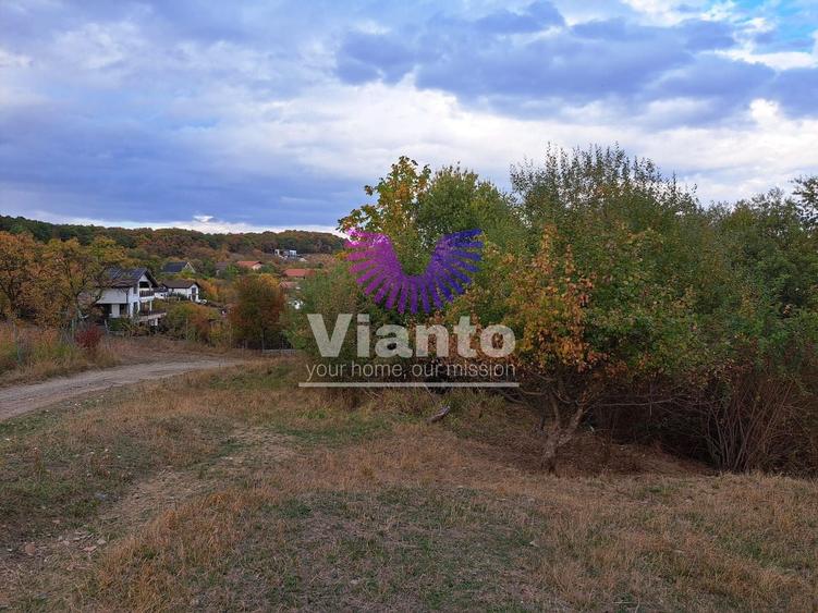 Teren Construcții intravilan de 1000 mp, în Cisnădioara
