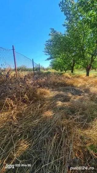 Teren de 1077 mp, în Potârnichea