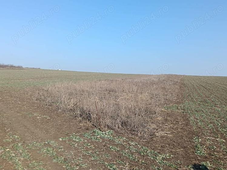 Teren de 1500 mp, în Valea Lupului