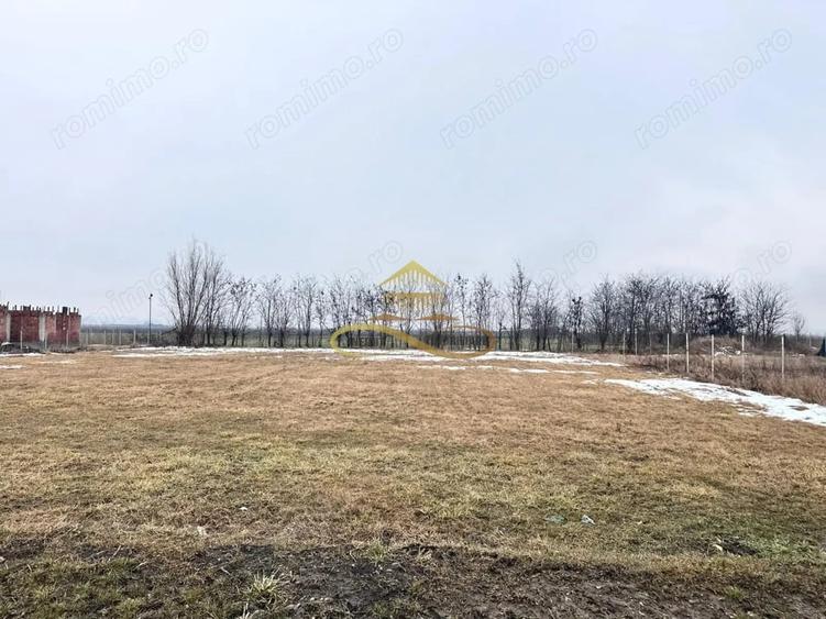 Teren de 900 mp, în Săucești