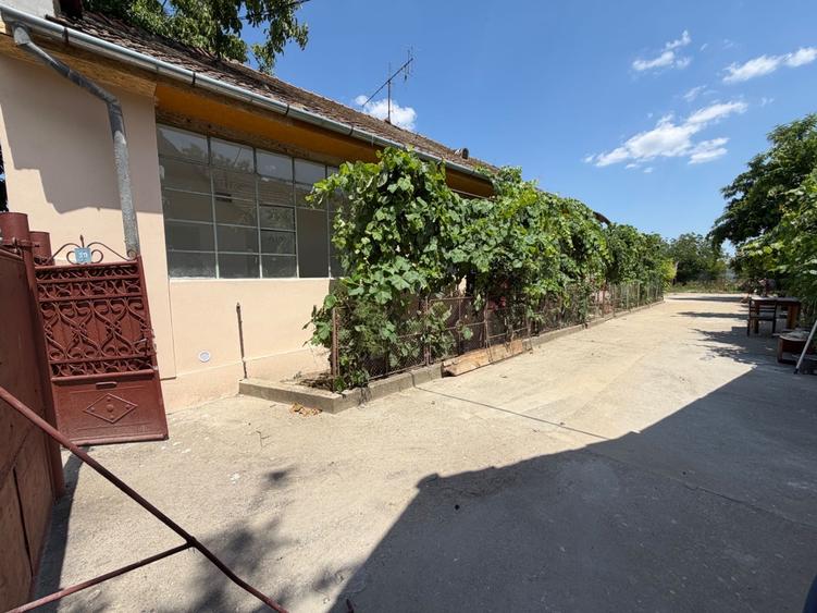 Casă cu 3 camere cu Teren 1300 Mp în Central