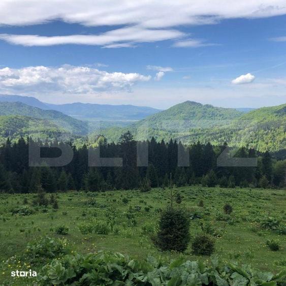 Spațiu comercial, în Părău
