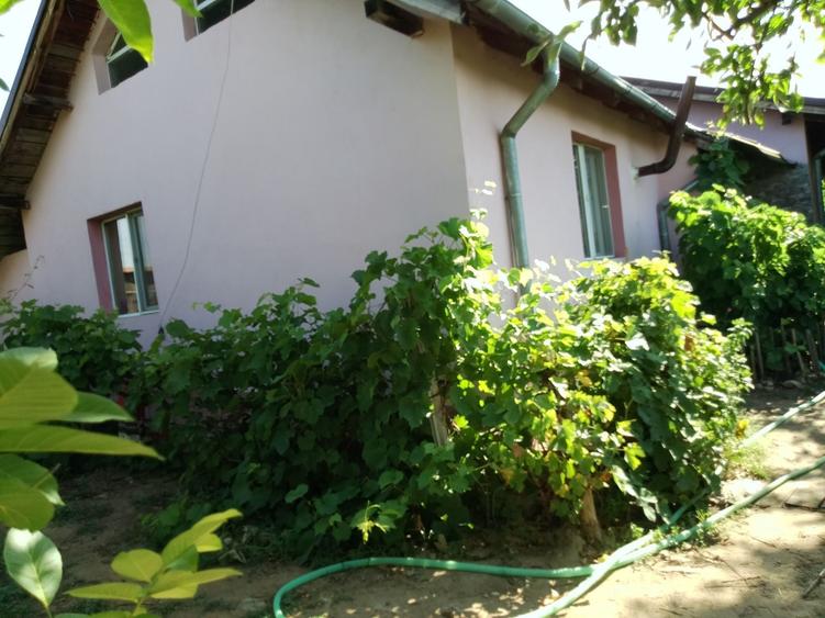 Casă cu 4 camere cu Teren 650 Mp în Bordei