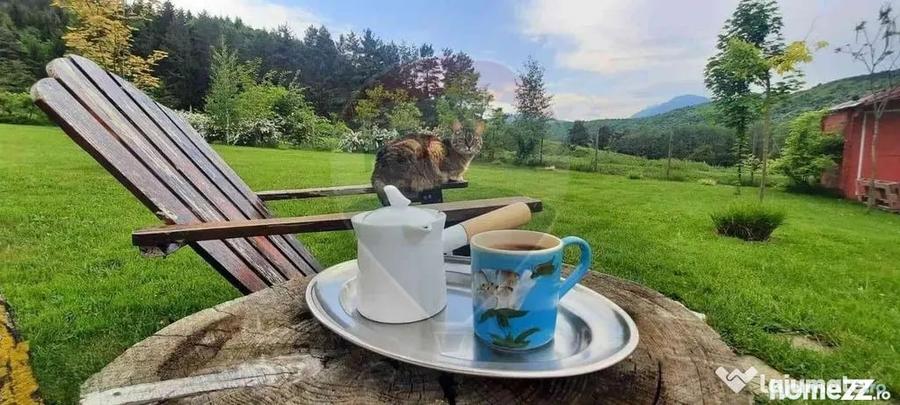 Teren 7160 mp/PUZ/cabana-ideal pentru proiect turistic/gl... - Tarlungeni (Brasov) - 16