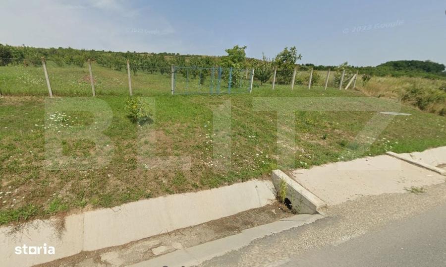 Teren intravilan - 4200 mp, parcelabil, construibil, cu livada, Rascru - 3