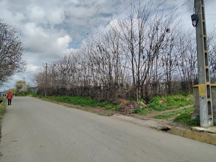 Teren de 1801 mp, în Ijdileni