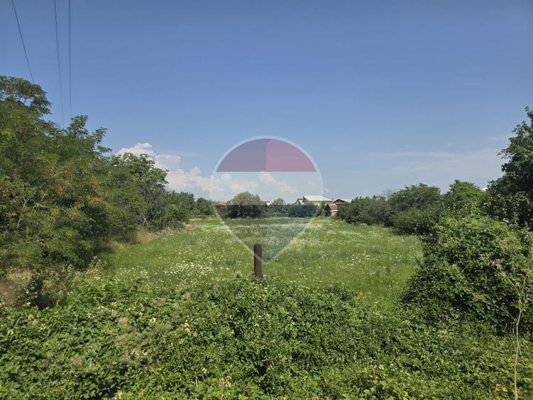 Teren Construcții intravilan de 4001 mp, în Blejoi