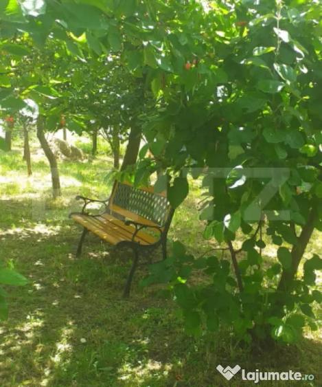 Teren în Central