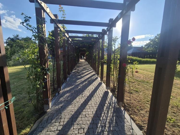 Casă individuală cu 6 camere cu Piscina în Bolintin-Deal