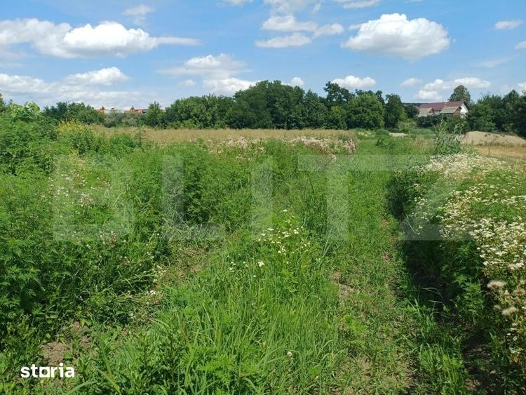 Teren de vanzare, intravilan, 5 ari, Suceava, zona Itcani - 3
