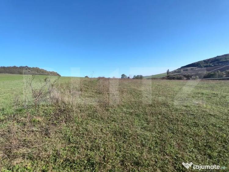 Teren de 2900 mp, în Central