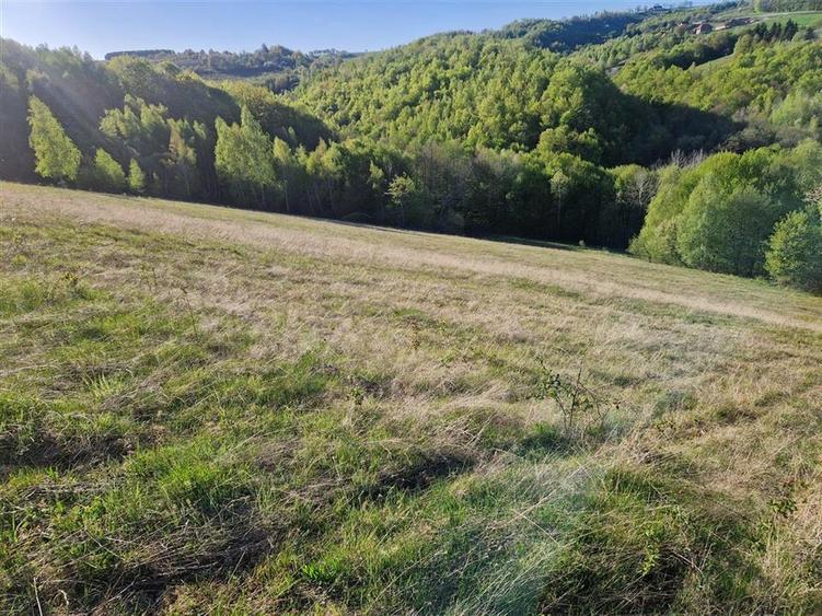 Teren intravilan de 33210 mp, în Șinteu