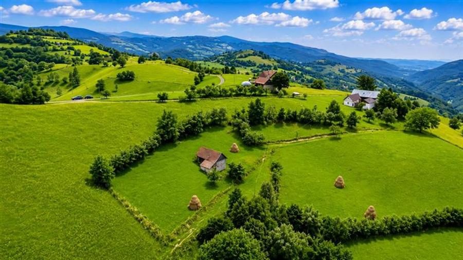 Teren Construcții intravilan de 10335 mp, în Poiana Mărului