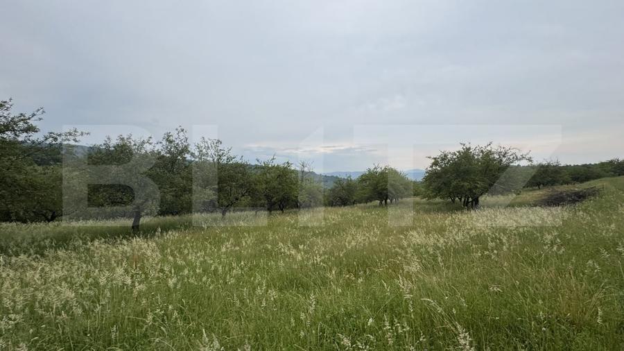 Teren agricol extravilan de 24150 mp, în Dorolea