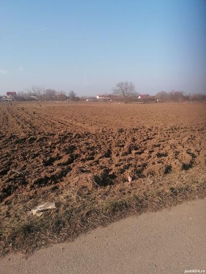 Teren de 7300 mp, în Ciorogârla