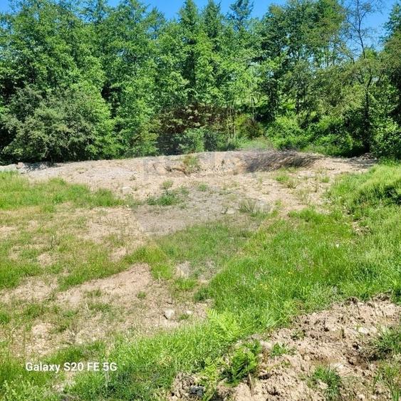 Teren agricol extravilan de 6725 mp, în Hoteni
