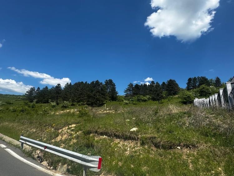 Teren Construcții extravilan de 1374 mp, în Florești
