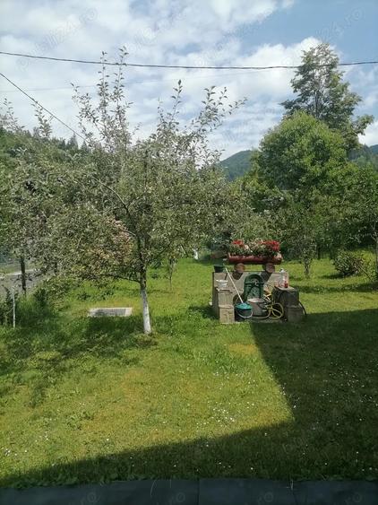 Casă cu 6 camere cu Teren 1056 Mp în Central