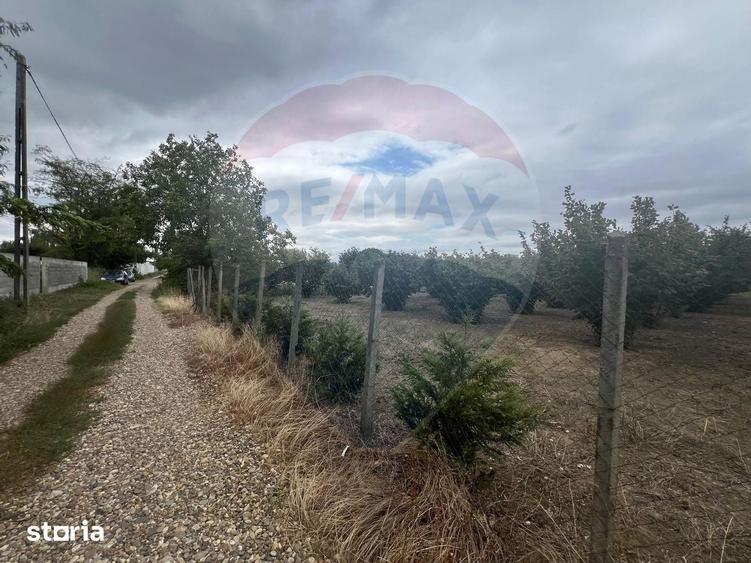 Teren de 1300 mp, în Câmpineanca