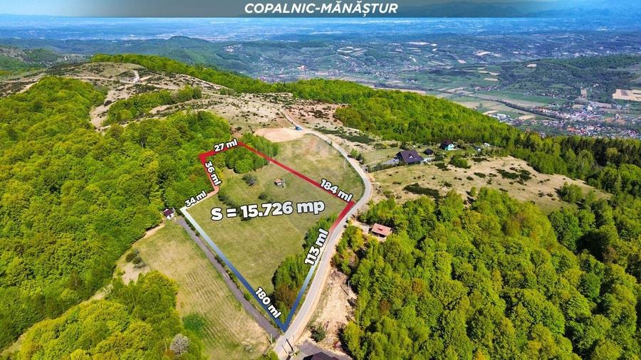Teren extravilan de 15726 mp, în Preluca Nouă