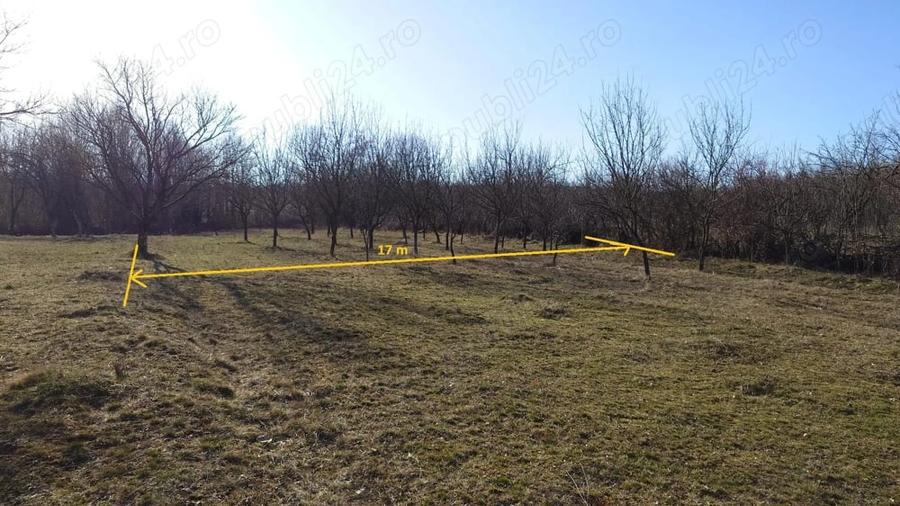 Teren de 2800 mp, în Gura Vitioarei