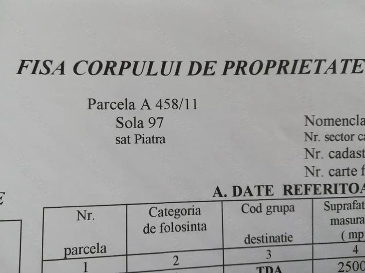 Teren de 25000 mp, în Mihail Kogălniceanu