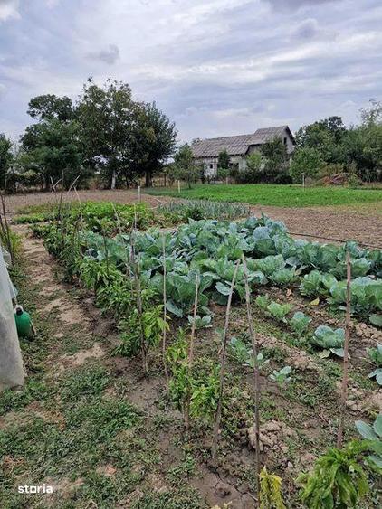 Casă cu 4 camere cu Teren 500 Mp în Suraia