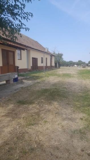Casă individuală cu 4 camere cu Teren 2500 Mp în Dudeștii Noi