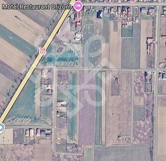 Teren de 3000 mp, în Gepiu