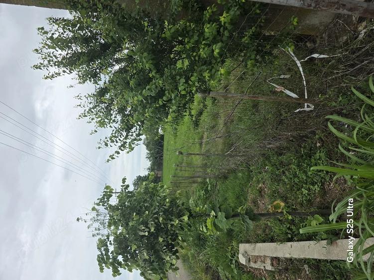 Teren de 3400 mp, în Copăceanca